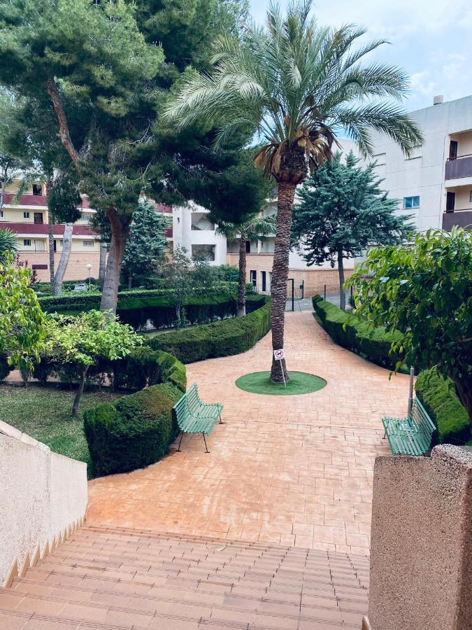 Apartamento Mil Palmeras Pilar de la Horadada Kültér fotó